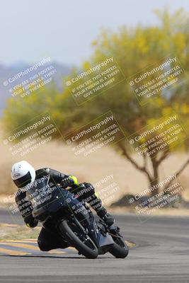 media/Apr-12-2025-Race Pace (Sat) [[9230add55f]]/Vested/6-Turn 4 Tree of Life (115pm)/